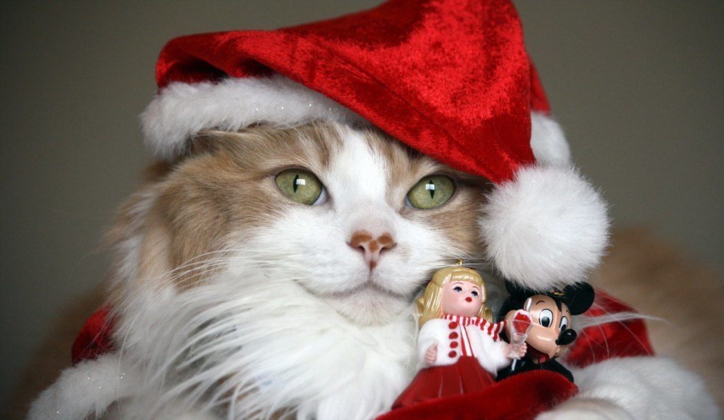 xmas6
